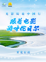 美国小密桃